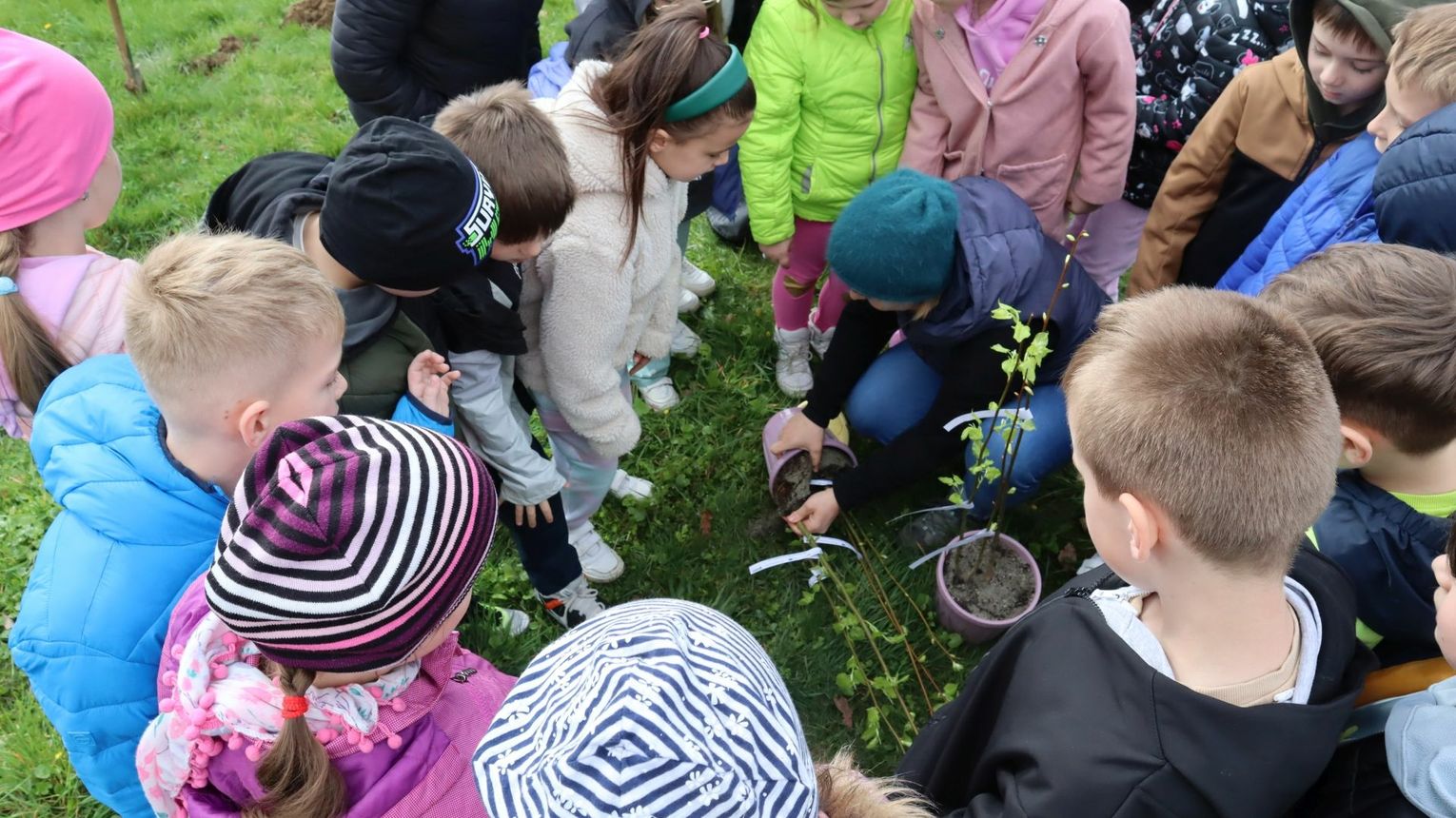 Zielona Rewolucja W Gorlicach Sukces Dni Dla Klimatu