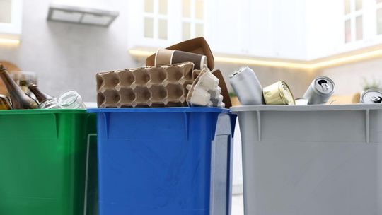 zdjęcie przedstawia kosze na odpady