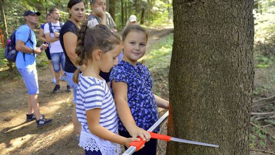 zdjęcie przedstawia dzieci stojące przy drzewie