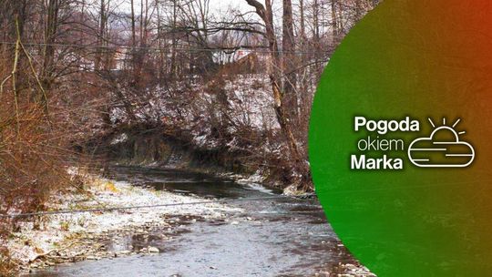 zdjęcie przedstawia brzeg rzeki