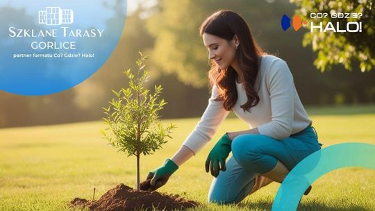 zdjęcie przedstawia zapowiedz co? Gdzie? Halo!