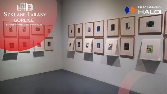 zdjęcie przedstawia wystawę obrazów