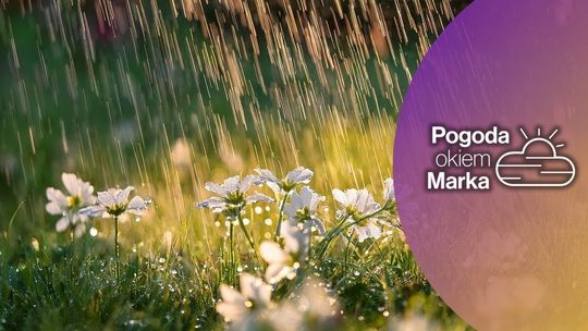 Czwartek najpierw brzydki, potem wypogodzi się | Prognoza pogody na dziś - halogorlice.info