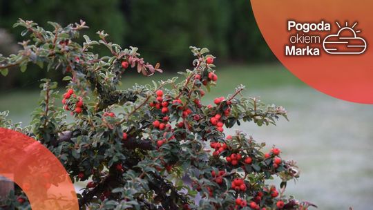 Czwartek ze zmienną aurą | Prognoza pogody na dziś - halogorlice.info