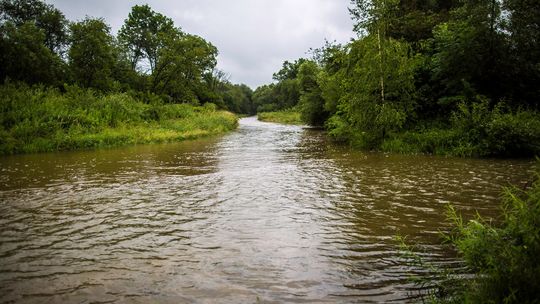zdjęcie przedstawia dwa łączące się z sobą, brudne potoki.
