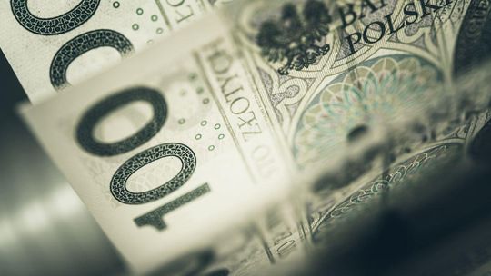 Dotacje poszły w teren. Czy będzie widać je w mieście? zdjęcie przedstawia banknoty 100 złotowe