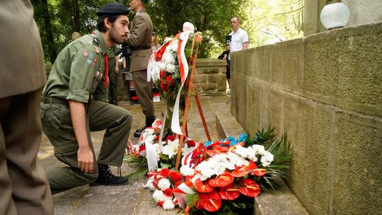 harcerz składa bukiet kwiatów przed pomnikiem