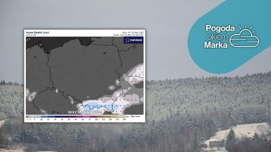 zdjęcie przedstawia ośnieżony las