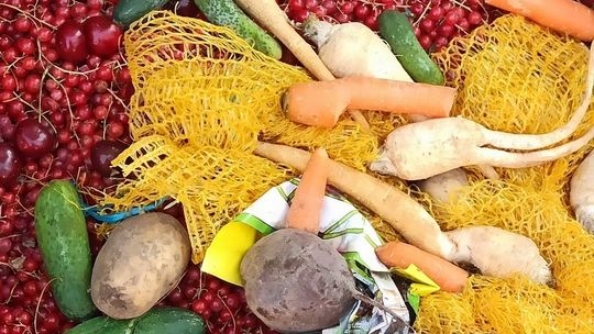 Foodsharing. W Sączu robi furorę. Dlaczego u nas nie może?