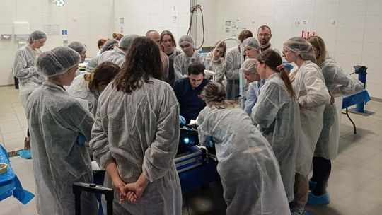 zdjęcie przedstawia grupę osób nachylających się nad stołem w pracowni weterynarii