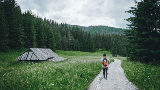 zdjęcie przedstawia ścieżkę przez łąkę, w tle las, po ścieżce idzie osoba z placakiem