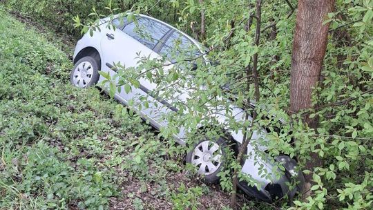zdjęcie przedstawia pojazd osobowy w zaroślach