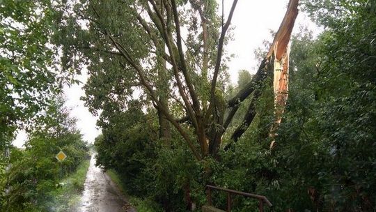 Gorące lato szybko zamieni się w chłodną jesień. Czeka nas gwałtowne załamanie pogody.