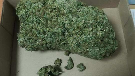 Gorliccy policjanci przejęli blisko kilogram marihuany