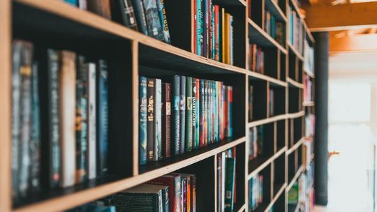Zdjęcie przedstawia książki na półce w bibliotece