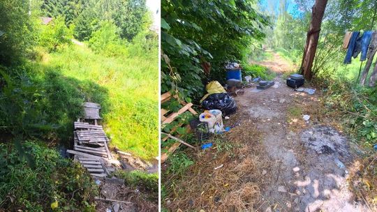 zdjęcie przedstawia drewnianą kładkę na potoku