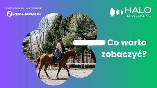 zdjęcie przedstawia plakat zapowiadający wydarzenia na weekend
