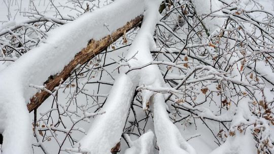 Intensywne opady paraliżują powiat