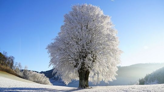 Intensywne opady śniegu i zamiecie śnieżne. Trudne warunki na drogach Gorlickiego. [ZDJĘCIA]