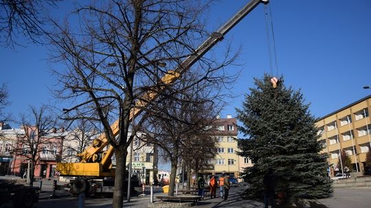 Już jest! Najważniejsza świąteczna ozdoba na gorlickim Rynku. [ZDJĘCIA, VIDEO]