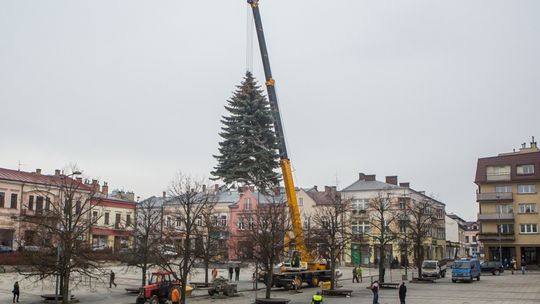 Już jest! Piękna i okazała!