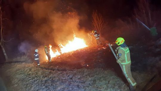 Kilka słonecznych dni i aż kilkanaście pożarów suchych traw [AKTUALIZACJA]