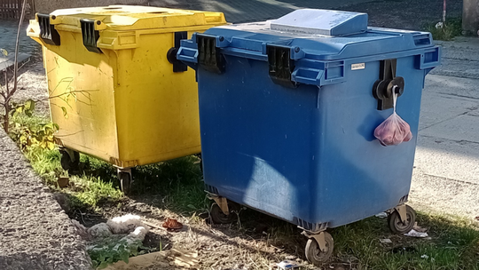 Kompostujesz bioodpady? Jeśli tak, gmina poprosi Cię o informację