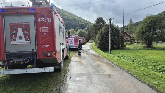 zdjęcie przedstawia policyjny radiowóz