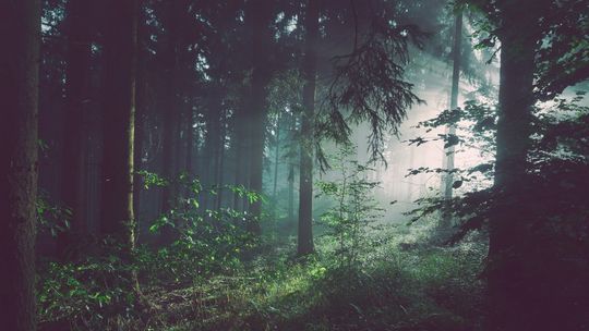 Magurski Park Narodowy skończył 25 lat