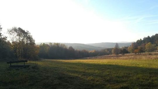 Małopolskie Dni dla Klimatu także w Gorlickiem. Czy zasadziłeś już drzewo?