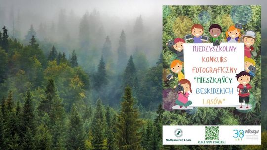 Plakat konkursowy na tle lasu