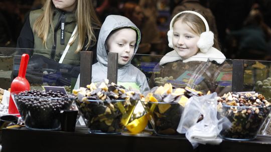 zdjęcie przedstawia rodzeństwo patrzące na słodycze