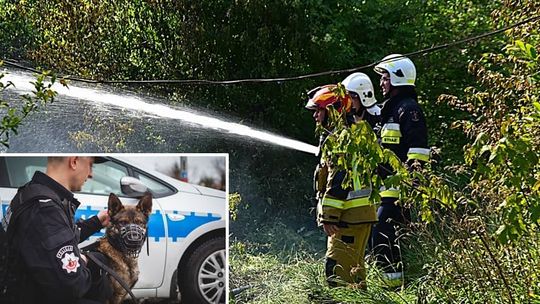 Motor wytropił a policjanci zatrzymali sprawcę podpalenia w Sędziszowej [FOTO]