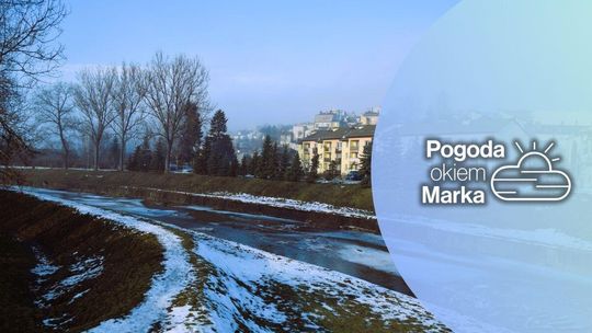 zdjęcie przedstawia brzeg rzeki