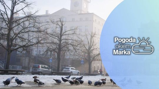 zdjęcie przedstawia ratusz i płytę rynku