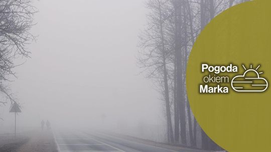 zdjęcie przedstawia zamglony fragment drogi w lesie