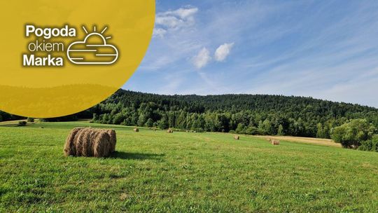 zdjęcie przedstawia pole z balą siana