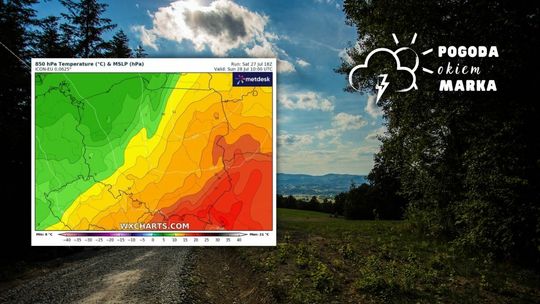 widok z górki na wzniesienia i lasy