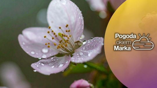 Niedziela z jesienną pogodą | Prognoza pogody na dziś - halogorlice.info