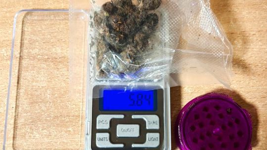 zdjęcie przedstawia