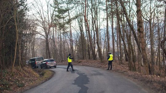 zdjęcie przedstawia policjantów na ulicy w lesie