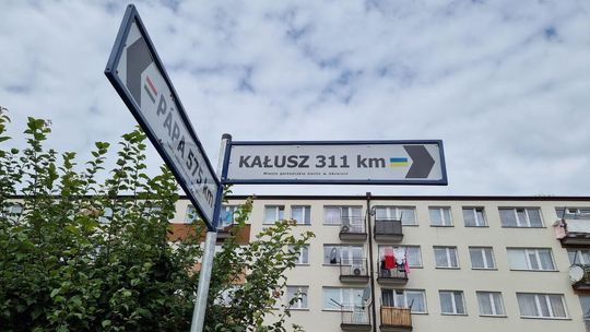 Zdjęcie przedstawia znak drogowy - 311 km do Kałusza