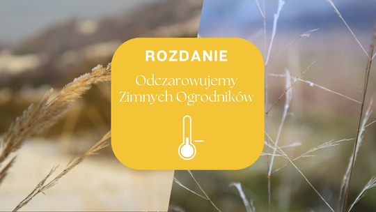 Mroźne zdjęcia natury