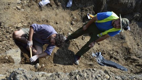 Odnalezione kości zbada antropolog
