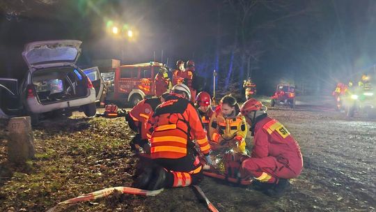 zdjęcie przedstawia grupę służb w lesie