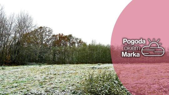 zdjęcie przedstawia polanę, trawę przykrył delikatny śnieg