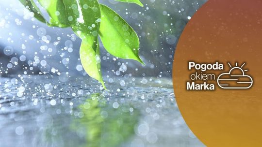 Piątek brzydki i zimny | Prognoza pogody na dziś - halogorlice.info zdjęcie przedstawia deszcz padający na drogę