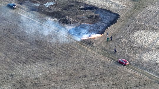 Zdjęcie przedstawia palącą sie trawe