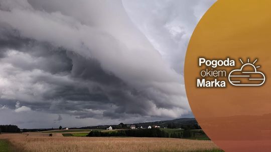 zdjęcie przedstawia chmurę