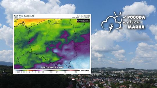 Początek tygodnia bez deszczu. Jaki będzie cały lipiec? [POGODA OKIEM MARKA]